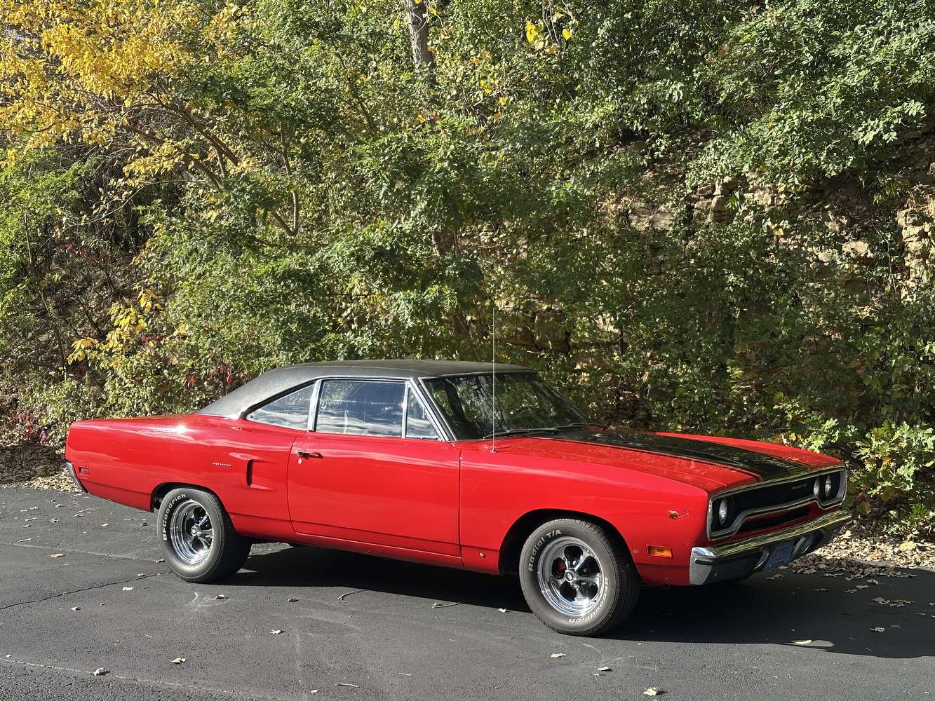 IMG_0065.jpeg IMG_0065.jpeg